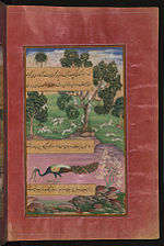 Thumbnail for File:Zahir al-Din Muhammad Babur - Animals of Hindustan - Monkeys, Rodents and a Peacock - Walters W59626B - Full Page.jpg