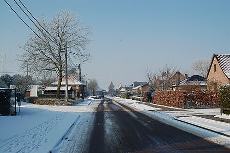 Zemst Bos februari 2012