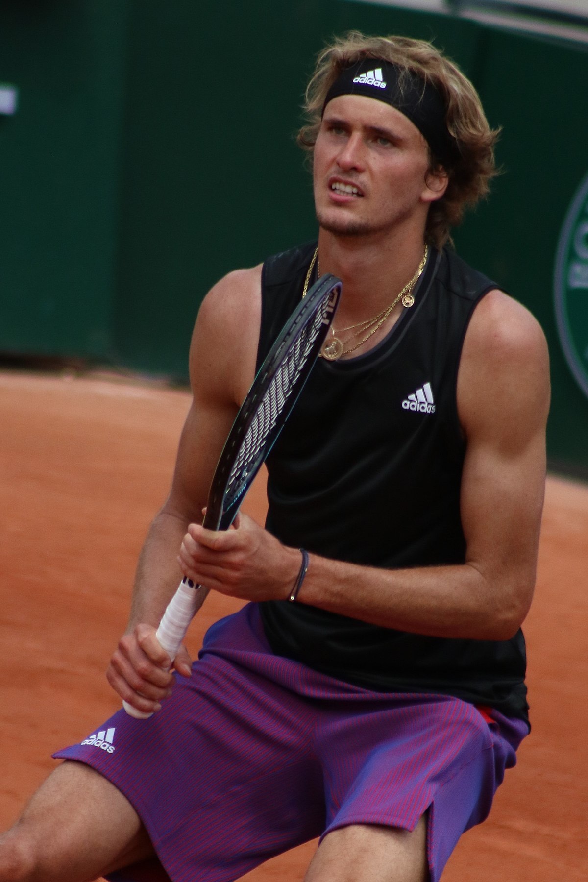 Alexander Zverev Wikipedia