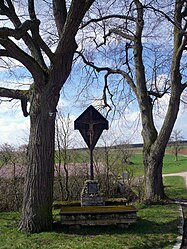 Two linden trees near Gauaschach.jpg