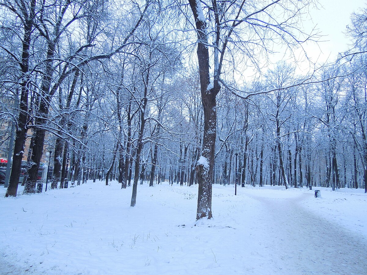 Парк Кулибина Нижний Новгород зимой