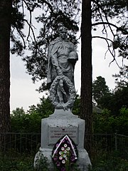 Поліське Братська могила 12 радянських воїнів 1.jpg