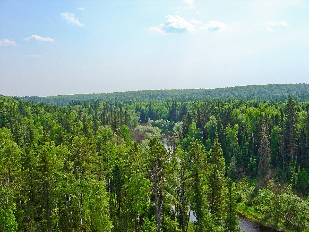 Тайга — Викицитатник