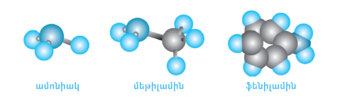 Ամինների մոդելներ