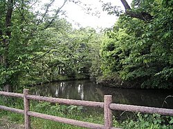 氷川女体神社祭祀遺跡