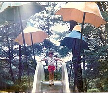 The Sliding Board in 1987. 000enchantedforest01.jpg