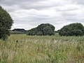 Le marais du Grand Loc'h (sentier de découverte de la réserve naturelle régionale des étangs du Petit et du Grand Loc'h) 2.