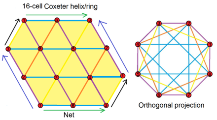 Net and orthogonal projection