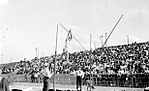 Vignette pour Saut à la perche masculin aux Jeux olympiques de 1904