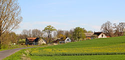 2012-04 Kazimierz 03.jpg