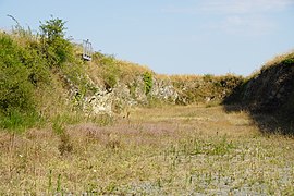 2016-07 - Site des Malécots - 18.jpg