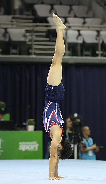 File:2019-06-27 1st FIG Artistic Gymnastics JWCH Men's All-around competition Subdivision 3 Floor exercise (Martin Rulsch) 110.jpg