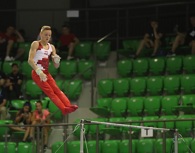 File:2019-06-27 1st FIG Artistic Gymnastics JWCH Men's All-around competition Subdivision 3 Horizontal bar (Martin Rulsch) 191.jpg