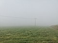 Taken on 18 September 2021 File:2021-09-18 Nebel in Tauberbischofsheim 3.jpg