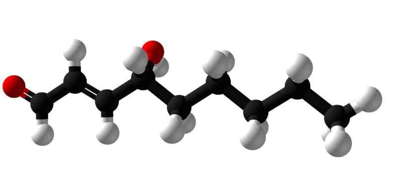 File:4-Hydroxynonenal.png