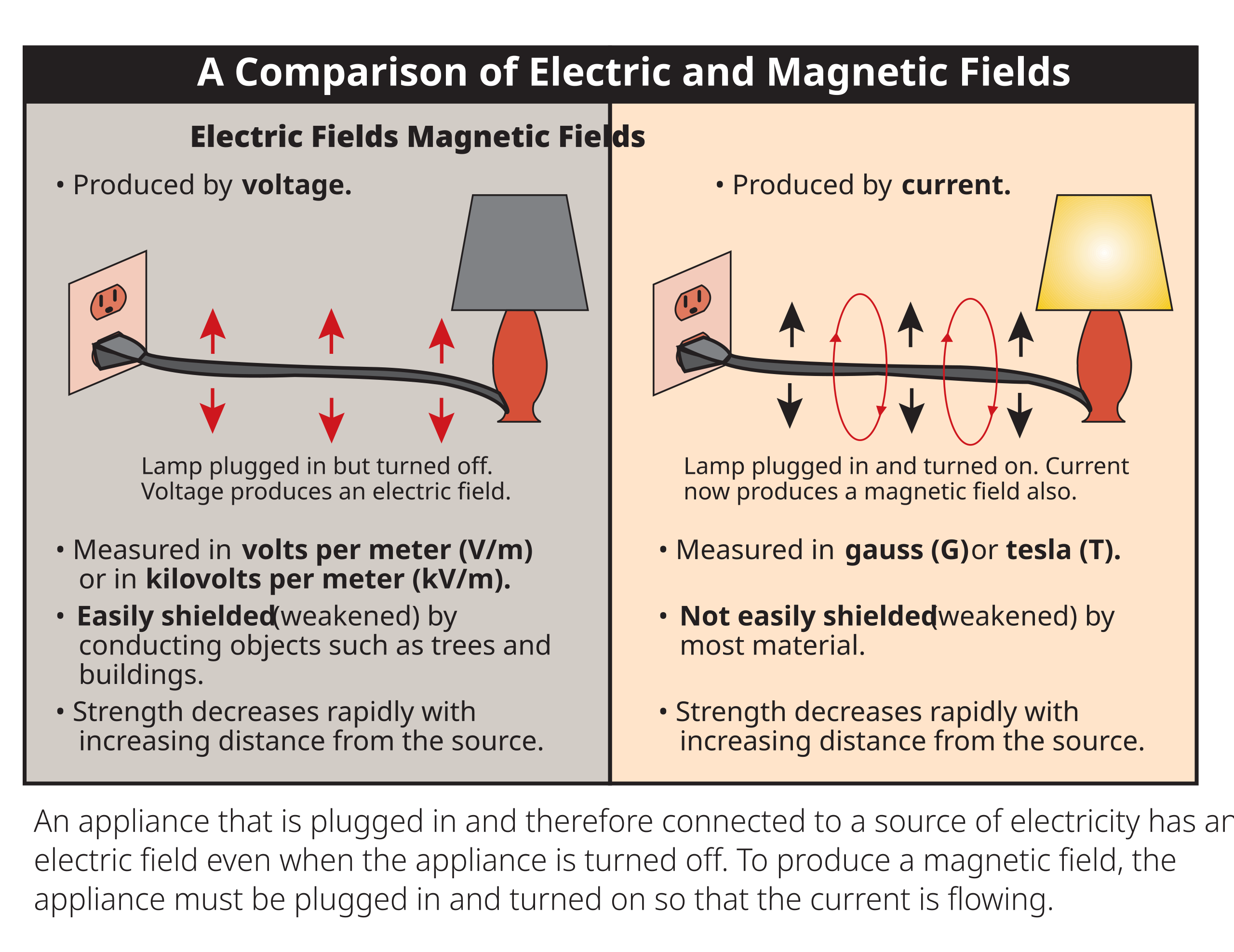 Grisling Med andre ord Sprællemand File:A comparison of Electric and Magnetic Fields.svg - Wikimedia Commons