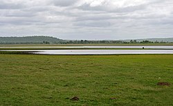 Pocharam lake