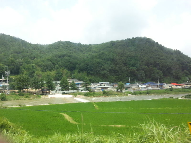 File:A village, river and rice padies in South Korea in the early summer of 2013- 2013-07-09 02-24.jpg