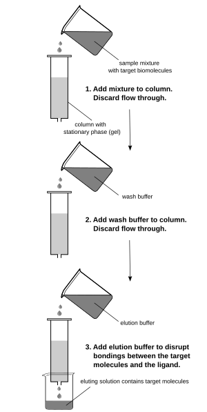 Affinity Chromatography