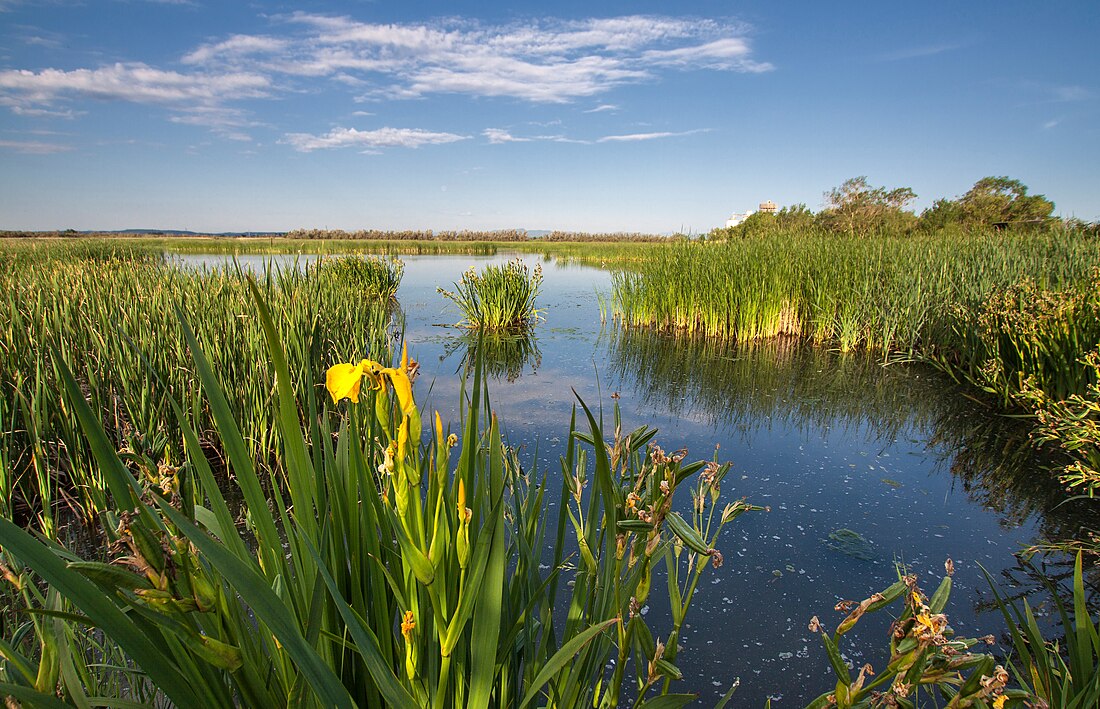 Parque Natural dos Aiguamolls de l'Empordà