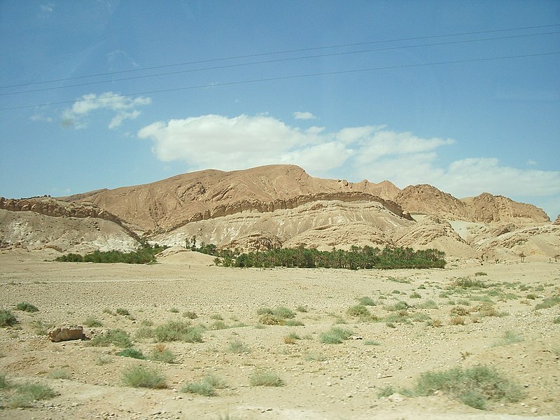 File:Algerianborder.JPG