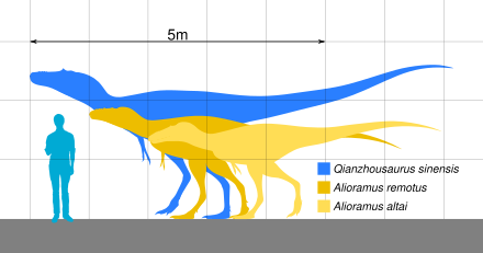 Qianzhousaurus sinensis - Wikiwand