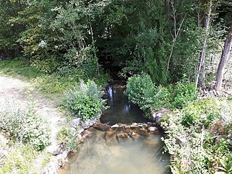 Der Allmendbach direkt nach dem gleichnamigen Rückhaltebecken