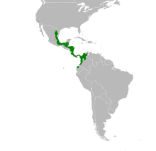 Amazona autumnalis map.svg