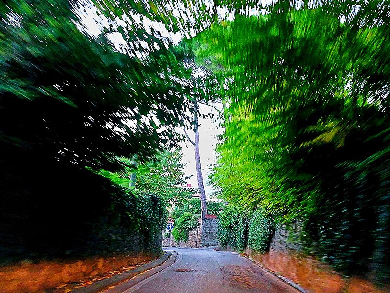 File:Among the green of the streets of old Florence -Fra il verde delle strade della vecchia Firenze.jpg