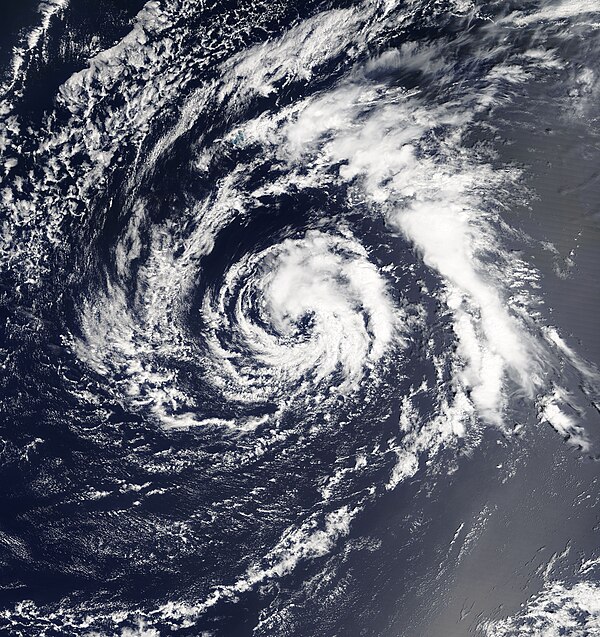 2003 Atlantic hurricane season