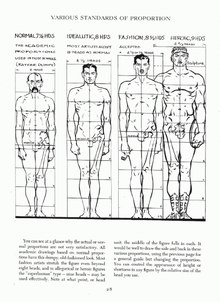 Standardized proportions of the male and female body, as a