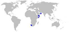 Mapa de distribución de A. indicus.