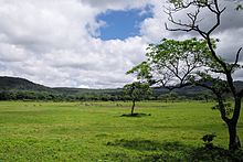 Arusha National Park Landscape.jpg