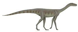 Asilisaurus