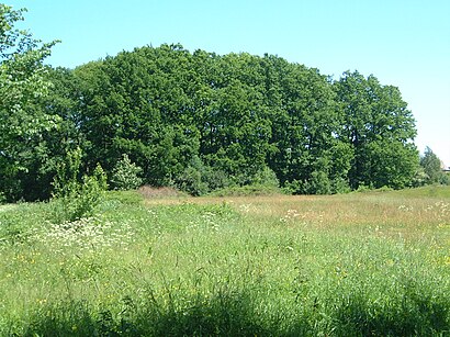 So kommt man zu Burg Bori mit den Öffentlichen - Mehr zum Ort Hier