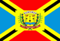 Bandeira de Anaurilândia