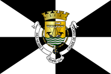 Bandeira municipal de Lisboa.png