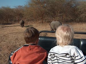 Western tourists visit rhinoceroses kept at the Bandia Natural Reserve near Dakar. Bandia.JPG