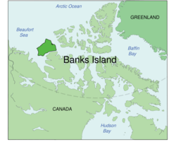 Banks Island.png