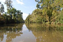 Bayou Teche photographed from a canoe, looking downstream, St. Landry Parish, Louisiana.