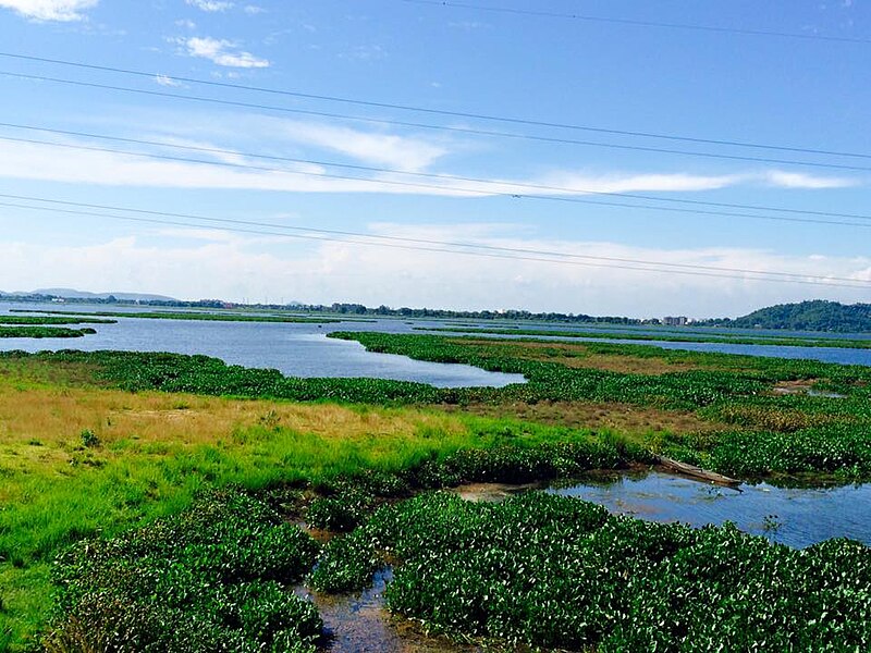 File:Beautiful Assam.jpg