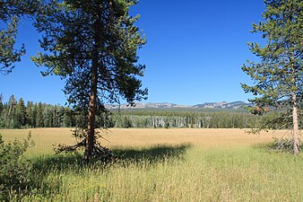 Yellowstone Parke Nazionala