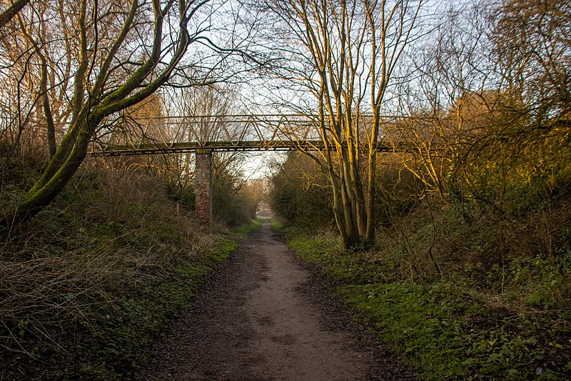 File:Biddulph Valley Line 2020 008.jpg