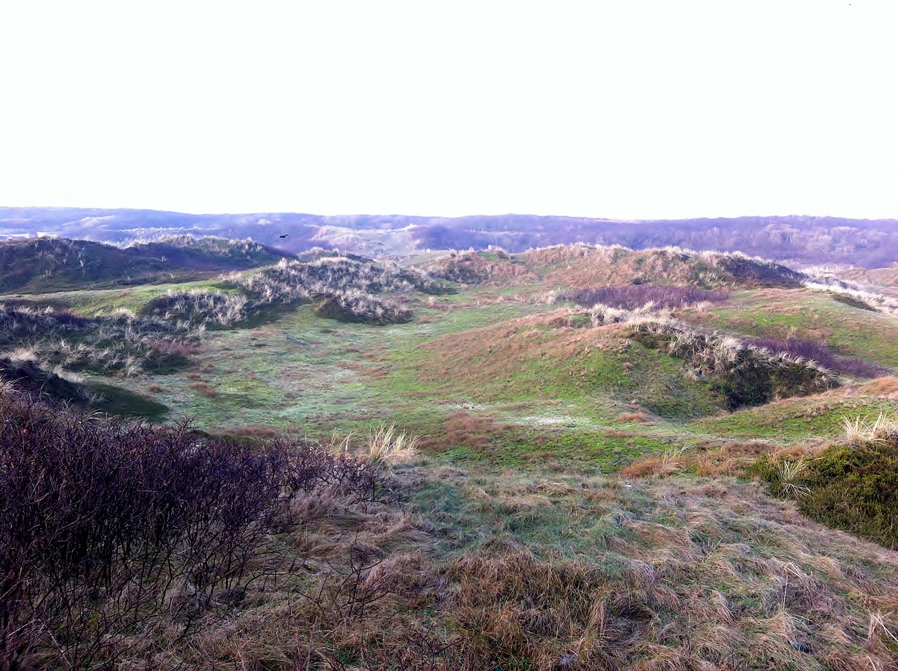 Aussichtsdüne Pirolatal