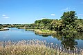 * Nomination Blick auf die Seen des Vogelschutzgebietes Garstadt bei Röthlein - Heidenfeld. Der Teil des Sees am rechten Rand gehört bereits zum Naturschutzgebiet "Erweiterung des Vogelschutzgebietes Garstadt". By User:Franky Frankson --Ezarate 17:50, 4 July 2022 (UTC) * Decline  Oppose Sorry: Blurred, too low sharpness for QI and disturbing luminance noise . --F. Riedelio 06:59, 12 July 2022 (UTC)