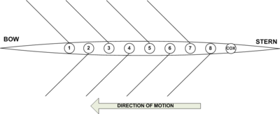 Boat positions within an 8+ shell. BoatPositions.png