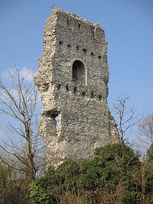 Remains of Bramber Castle Bramber Castle from Bramber churchyard.jpg