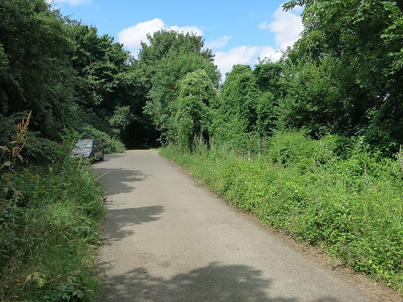 File:Bridleway to Brampton - geograph.org.uk - 4093835.jpg