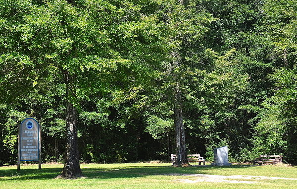 Britton Hill, Florida's highest point at 345 feet (105 m), is located in northern Walton County