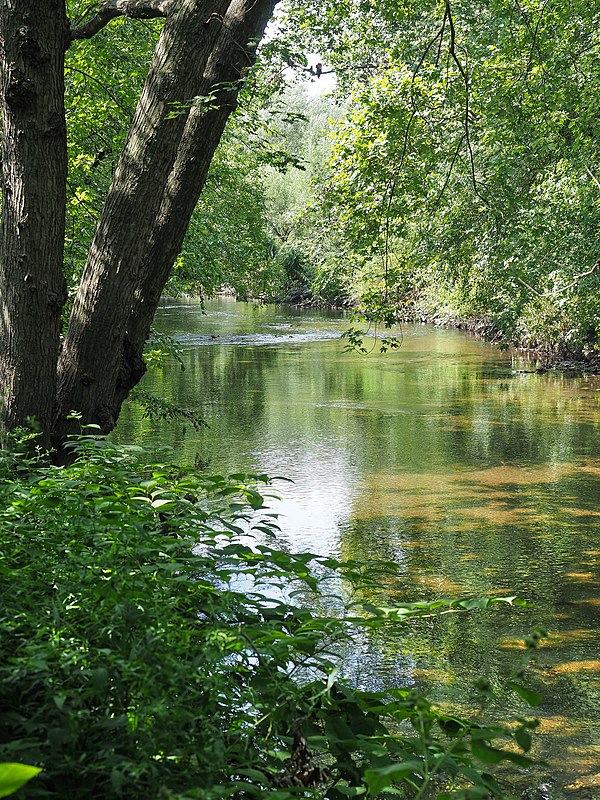 The Bronx River in Shoelace Park, in The Bronx.